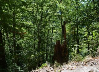 Seven Rila Lakes Tour from Sofia for Mountain Views and Hiking